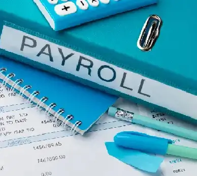 Reliable payroll services for businesses